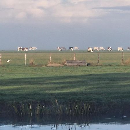 B&B Zusenzomer Oostwoud Bagian luar foto