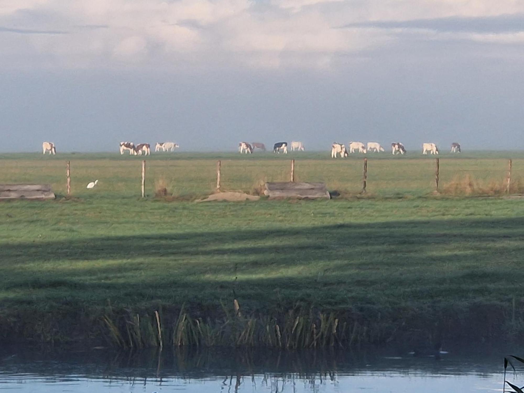 B&B Zusenzomer Oostwoud Bagian luar foto