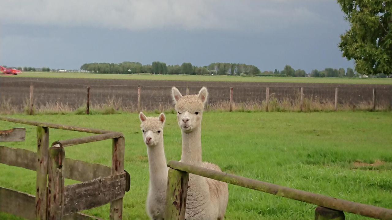 B&B Zusenzomer Oostwoud Bagian luar foto