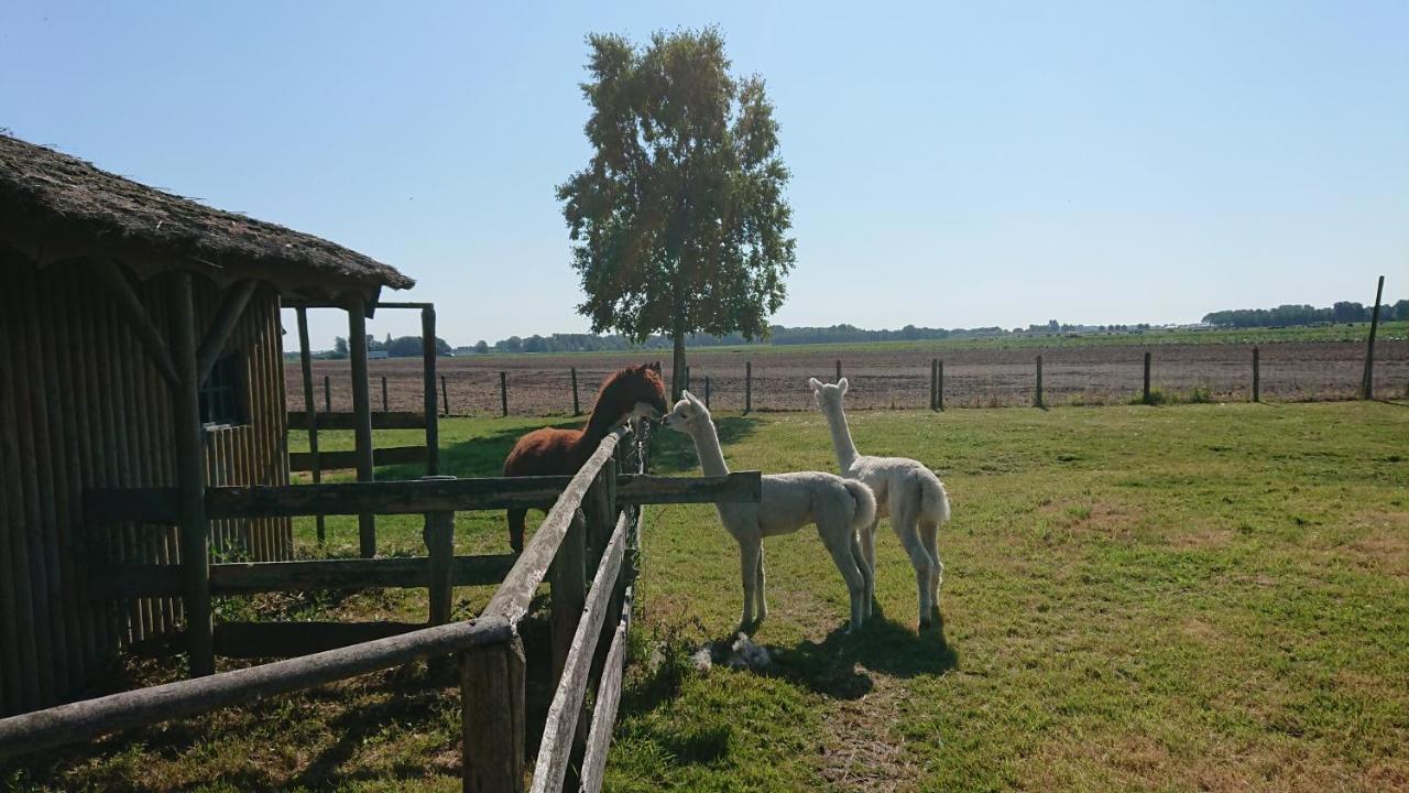B&B Zusenzomer Oostwoud Bagian luar foto