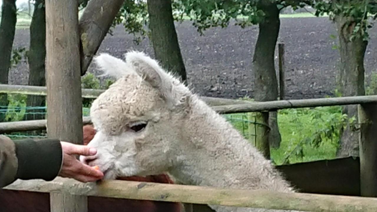 B&B Zusenzomer Oostwoud Bagian luar foto